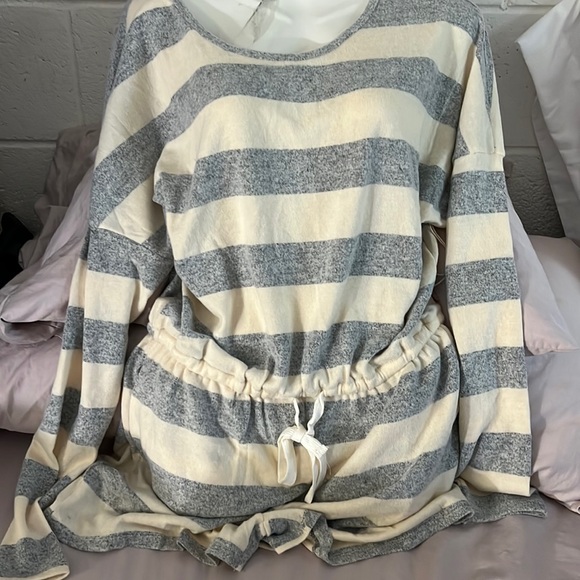 Harper Wren - Picture 1 of 5